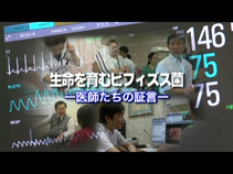 株式会社ヤクルト本社　広報作品